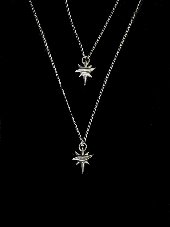 Astraea miniature